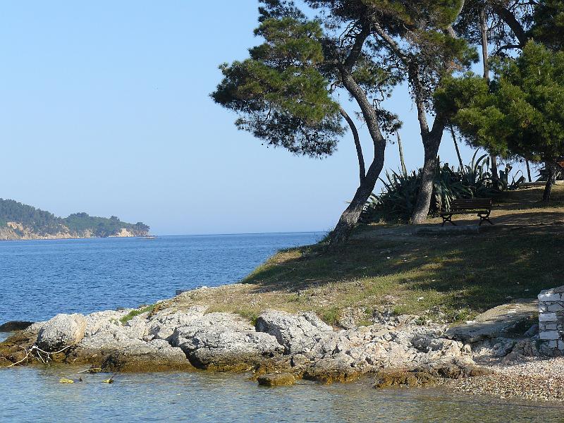 P1000450.JPG