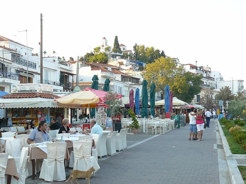 P1000971.JPG